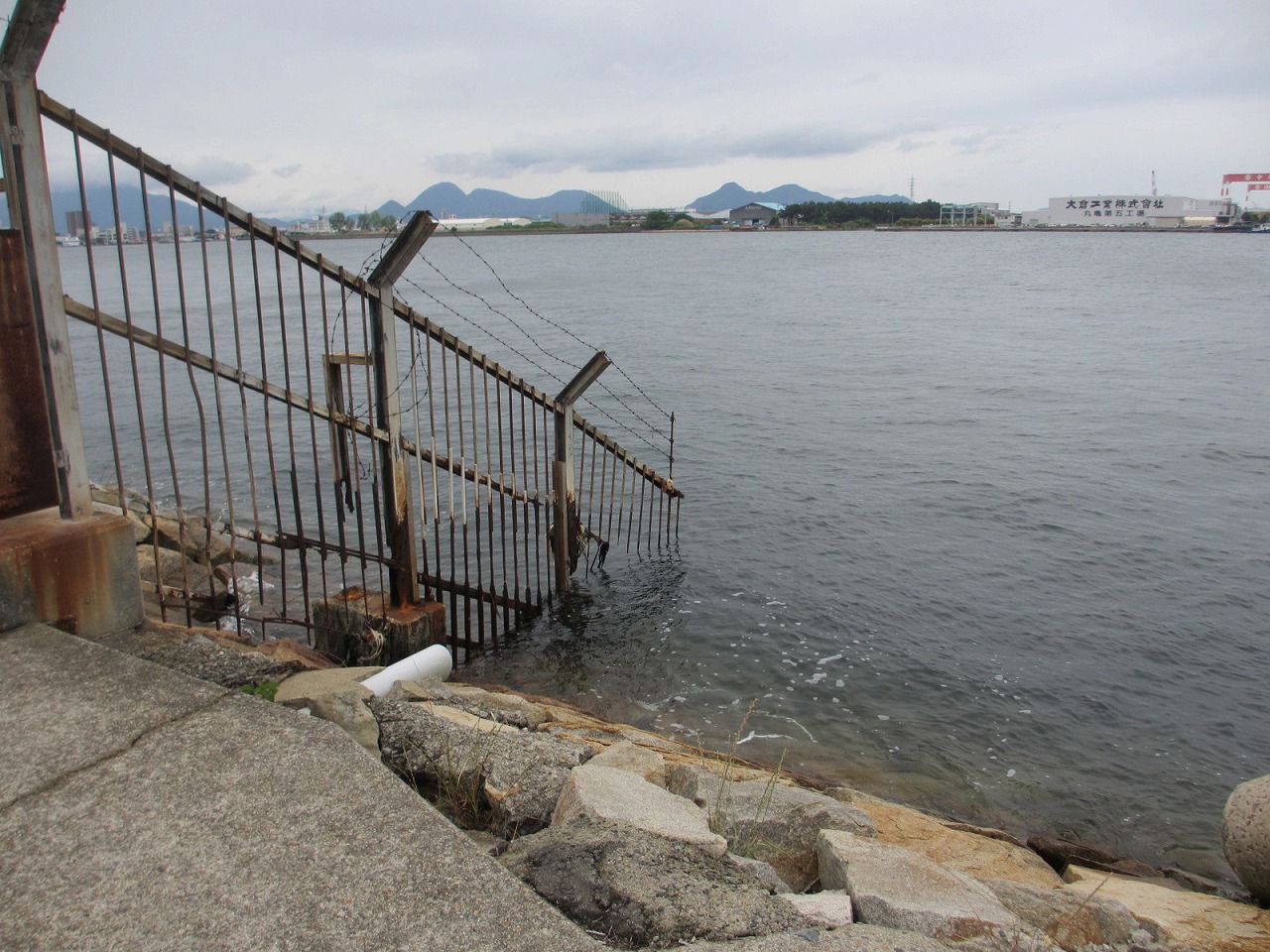 香川県,海釣り,ポイント,まるがめボート